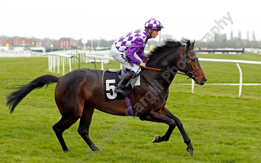 Corgi-0001 
 CORGI (Jim Crowley) Newbury 21 Apr 2018 - Pic Steven Cargill / Racingfotos.com