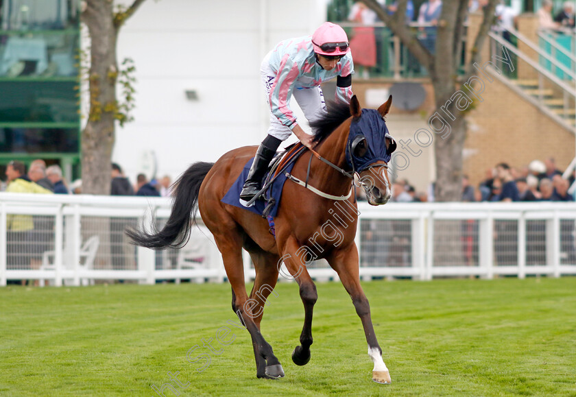 Bellstreet-Bridie-0005 
 BELLSTREET BRIDIE (Ryan Moore) winner of The British EBF Premier Fillies Handicap
Yarmouth 15 Sep 2022 - Pic Steven Cargill / Racingfotos.com