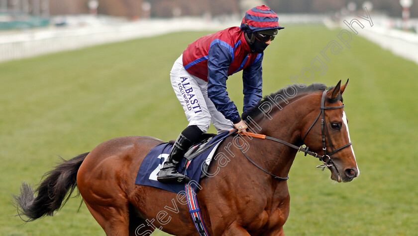 Wait-Forever-0001 
 WAIT FOREVER (Ben Curtis)
Doncaster 28 Mar 2021 - Pic Steven Cargill / Racingfotos.com