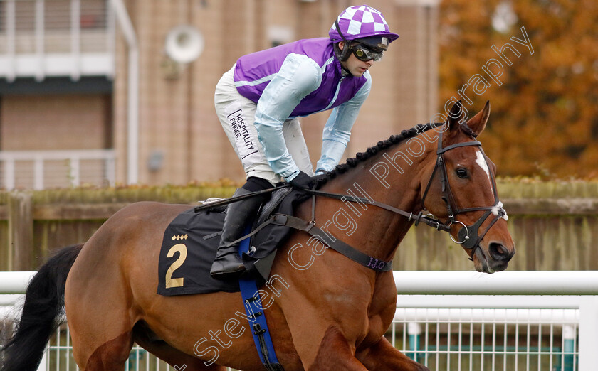 Yes-Day-0002 
 YES DAY (Jonjo O'Neill)
Warwick 22 Nov 2023 - Pic Steven Cargill / Racingfotos.com