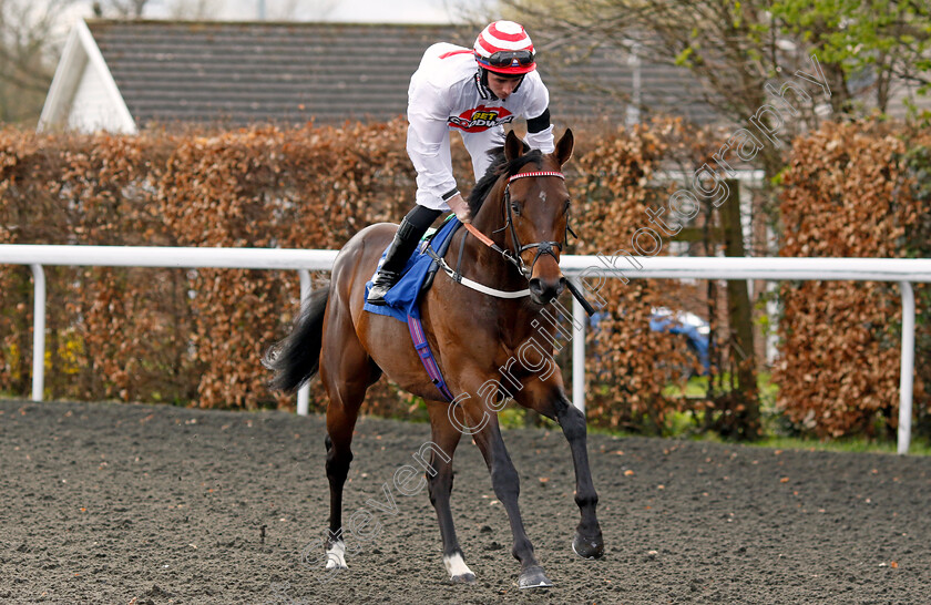 Brioni-0005 
 BRIONI (Rossa Ryan) winner of The Unibet More Boosts In More Races Maiden Stakes Div1
Kempton 3 Apr 2024 - Pic Steven Cargill / Racingfotos.com