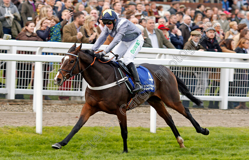 Thomas-Campbell-0003 
 THOMAS CAMPBELL (Nico de Boinville) wins The Pertemps Network Handicap Hurdle Cheltenham 28 Oct 2017 - Pic Steven Cargill / Racingfotos.com