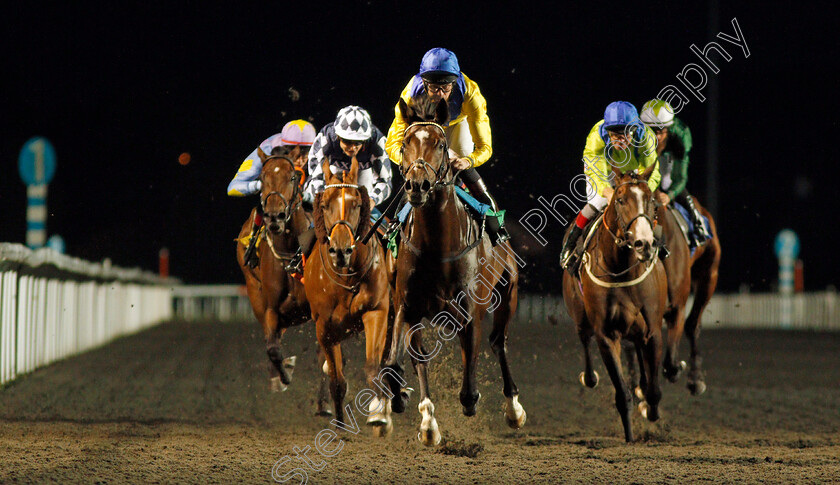 El-Misk-0005 
 EL MISK (Robert Havlin) wins The Matchbook Casino Handicap
Kempton 3 Sep 2019 - Pic Steven Cargill / Racingfotos.com