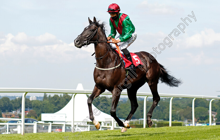 Gloucestershire-0001 
 GLOUCESTERSHIRE (Sean Levey)
Sandown 2 Jul 2021 - Pic Steven Cargill / Racingfotos.com