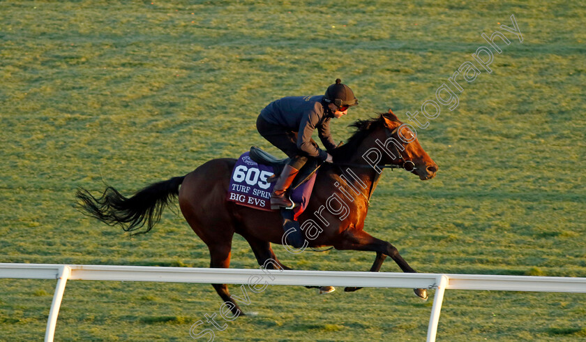 Big-Evs-0001 
 BIG EVS training for the Breeders' Cup Juvenile Turf Sprint
Del Mar USA 30 Oct 2024 - Pic Steven Cargill / Racingfotos.com