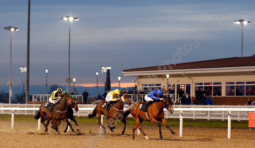 Story-Of-Light-0001 
 STORY OF LIGHT (James Doyle) wins The Bet toteplacepot At totesport.com Novice Stakes
Chelmsford 19 Nov 2019 - Pic Steven Cargill / Racingfotos.com