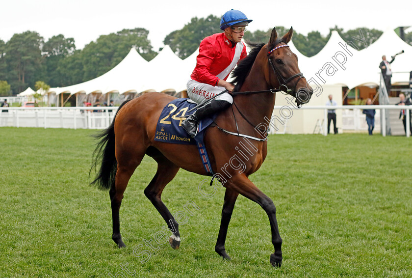 Sacred 
 SACRED (Tom Marquand)
Royal Ascot 18 Jun 2022 - Pic Steven Cargill / Racingfotos.com