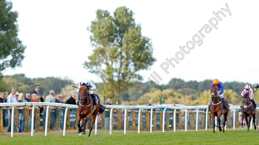 Visala-0001 
 VISALA (Tom Marquand) wins The Seadeer Handicap
Yarmouth 15 Sep 2021 - Pic Steven Cargill / Racingfotos.com