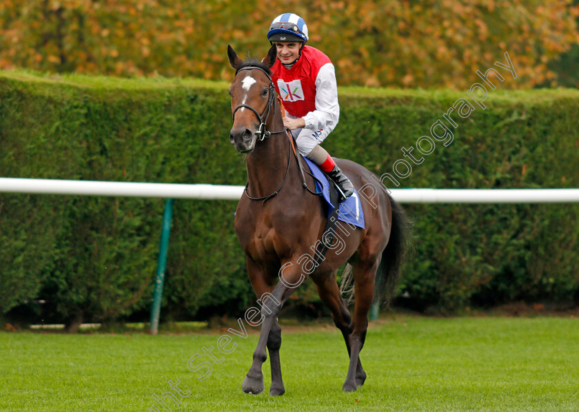 Imaginative-0001 
 IMAGINATIVE (Andrea Atzeni) Nottingham 18 Oct 2017 - Pic Steven Cargill / Racingfotos.com