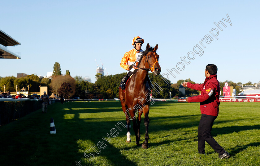 Jayarebe-0004 
 JAYAREBE (Sean Levey) winner of The Qatar Prix Dollar
Longchamp 5 Oct 2024 - Pic Steven Cargill / Racingfotos.com