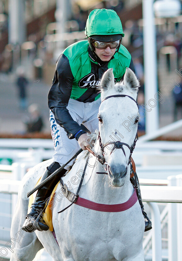 Commodore-0003 
 COMMODORE (Charlie Deutsch) winner of The Betfair Handicap Chase
Cheltenham 10 Dec 2021 - Pic Steven Cargill / Racingfotos.com