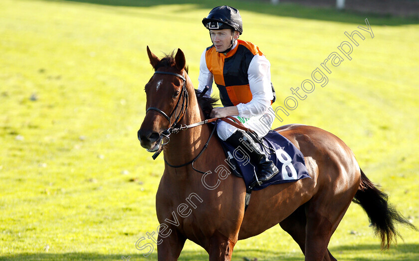 Persuer-0001 
 PERSUER (Jamie Spencer)
Yarmouth 23 Oct 2018 - Pic Steven Cargill / Racingfotos.com