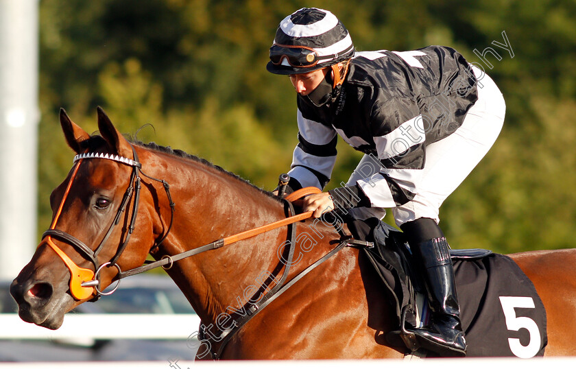 Jack-Bean-0001 
 JACK BEAN (Kaia Ingolfsland)
Chelmsford 22 Aug 2020 - Pic Steven Cargill / Racingfotos.com