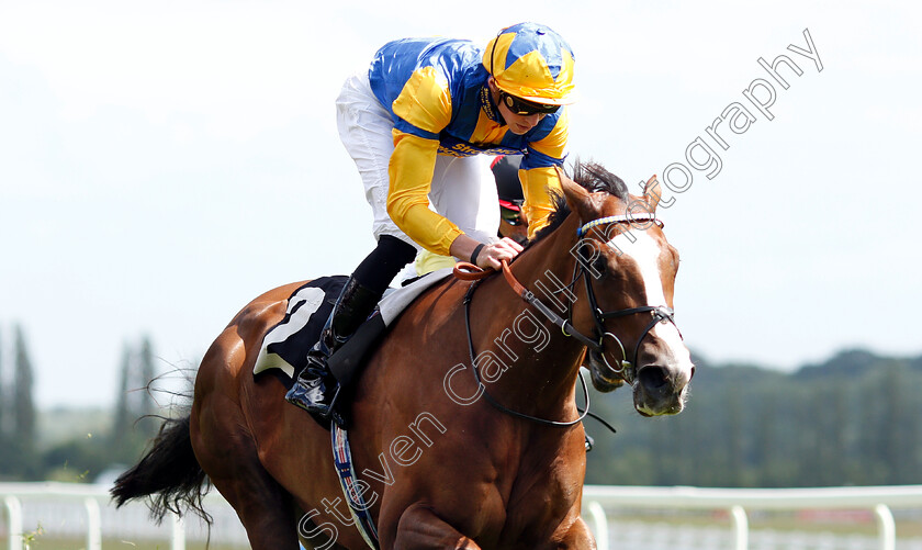 Feline-Groovy-0004 
 FELINE GROOVY (James Doyle) wins The Crossland British EBF Confined Fillies Novice Stakes Div1 
Newbury 14 Jun 2018 - Pic Steven Cargill / Racingfotos.com