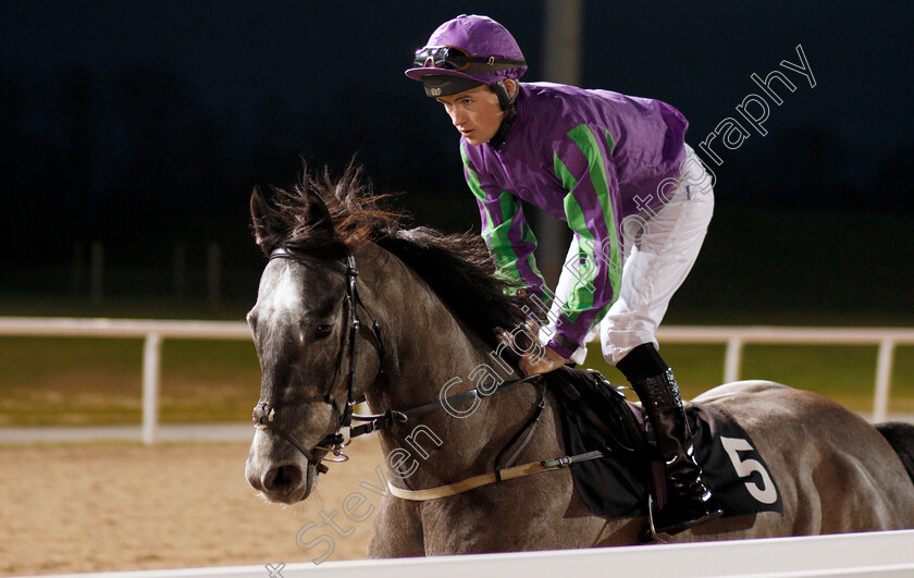 Soar-Above-0001 
 SOAR ABOVE (Dylan Hogan)
Chelmsford 11 Jan 2020 - Pic Steven Cargill / Racingfotos.com