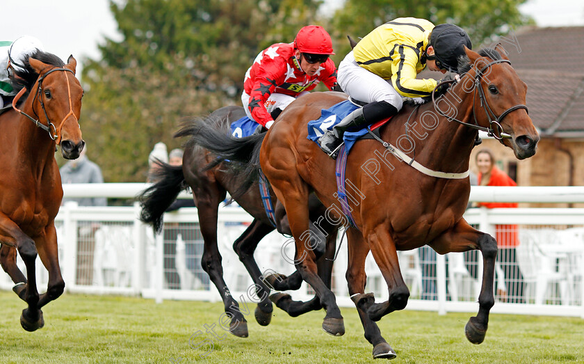 Can-Can-Sixty-Two-0002 
 CAN CAN SIXTY TWO (Callum Shepherd) wins The CPA Scaffolding Handicap Salisbury 30 Apr 2018 - Pic Steven Cargill / Racingfotos.com