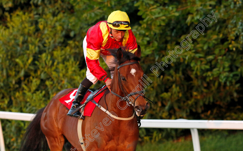 New-Dayrell-0001 
 NEW DAYRELL (P J McDonald)
Sandown 25 May 2023 - Pic Steven Cargill / Racingfotos.com