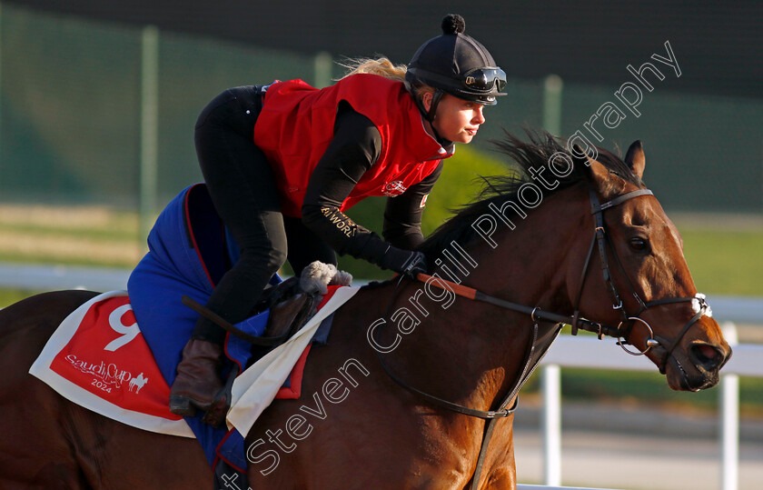 Enemy-0003 
 ENEMY training for The Red Sea Turf Handicap
King Abdulaziz Racecourse, Saudi Arabia 21 Feb 2024 - Pic Steven Cargill / Racingfotos.com