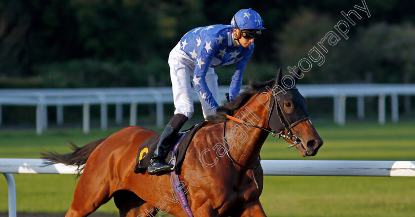 Mint-Julep-0001 
 MINT JULEP (Louis Steward)
Kempton 4 Aug 2021 - Pic Steven Cargill / Racingfotos.com