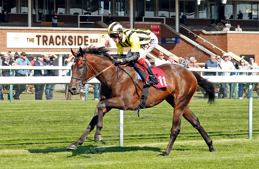 Sakheer-0004 
 SAKHEER (David Egan) wins The Auction Finance EBF Novice Stakes
Haydock 1 Sep 2022 - Pic Steven Cargill / Racingfotos.com