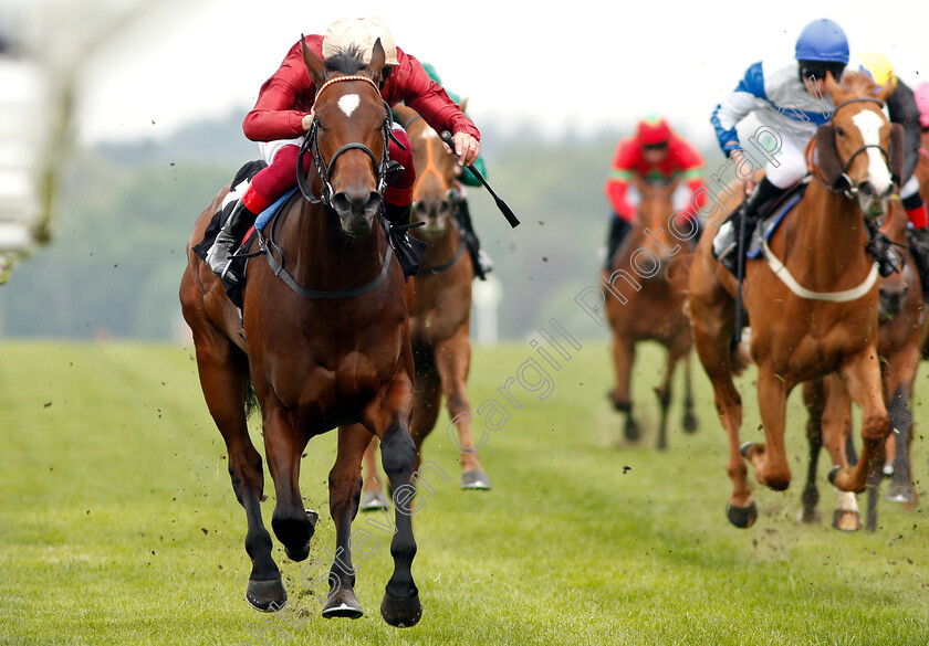 Muchly-0005 
 MUCHLY (Frankie Dettori) wins The Naas Racecourse Royal Ascot Trials Day British EBF Fillies Stakes
Ascot 1 May 2019 - Pic Steven Cargill / Racingfotos.com