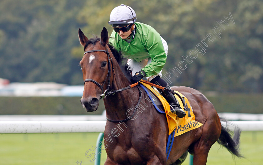 Waxing-Gibbous-0002 
 WAXING GIBBOUS (Hollie Doyle)
Haydock 7 Sep 2024 - Pic Steven Cargill / Racingfotos.com