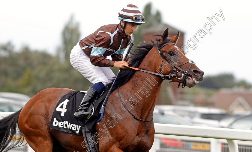 Hector-Loza-0002 
 HECTOR LOZA (Nicky Mackay)
Sandown 31 Aug 2019 - Pic Steven Cargill / Racingfotos.com