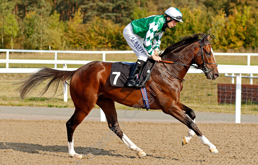 El-Salvaje-0002 
 EL SALVAJE (Luke Morris)
Chelmsford 20 Sep 2020 - Pic Steven Cargill / Racingfotos.com