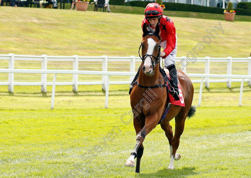 Eagle-Hunter-0002 
 EAGLE HUNTER (Ryan Moore)
Sandown 15 Jun 2018 - Pic Steven Cargill / Racingfotos.com