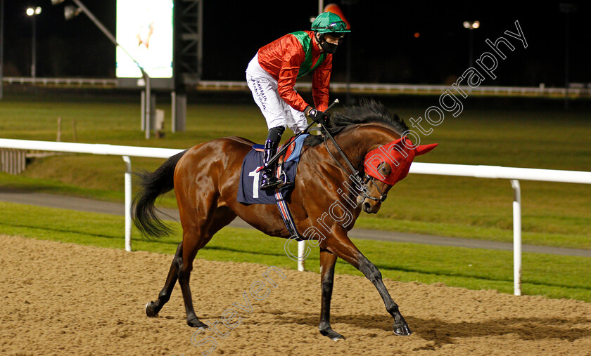 Alexej-0001 
 ALEXEJ (Robert Havlin)
Wolverhampton 24 Nov 2020 - Pic Steven Cargill / Racingfotos.com