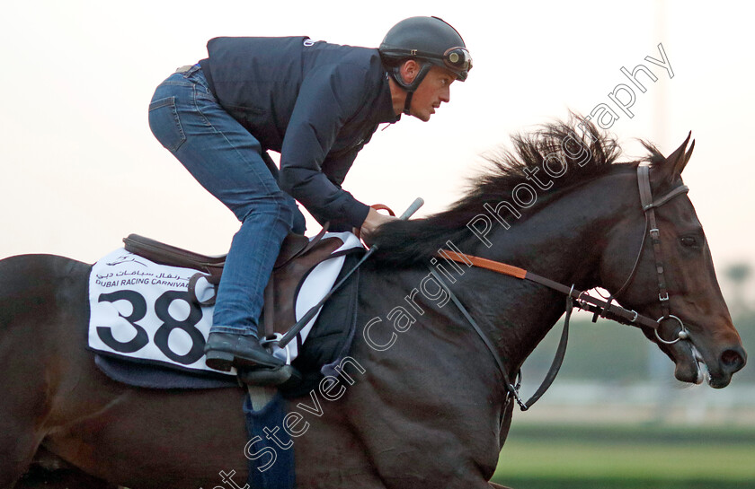 Shamrock-Glitter-0001 
 SHAMROCK GLITTER training at the Dubai Racing Carnival
Meydan 1 Feb 2024 - Pic Steven Cargill / Racingfotos.com