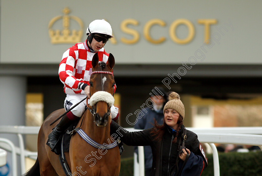 Southern-Sam-0001 
 SOUTHERN SAM (Aidan Coleman) 
Ascot 21 Dec 2018 - Pic Steven Cargill / Racingfotos.com