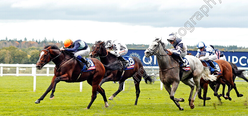 Accidental-Agent-0001 
 ACCIDENTAL AGENT (left, Charles Bishop) beats LORD GLITTERS (right) in The Totescoop6 Challenge Cup Ascot 7 Oct 2017 - Pic Steven Cargill / Racingfotos.com