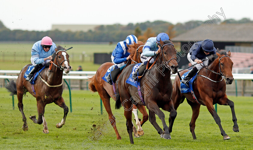 Thrave-0001 
 THRAVE (Harry Bentley) beats COAT OF ARMS (right) in The Derrinstown British EBF Maiden Stakes Newmarket 29 Sep 2017 - Pic Steven Cargill / Racingfotos.com