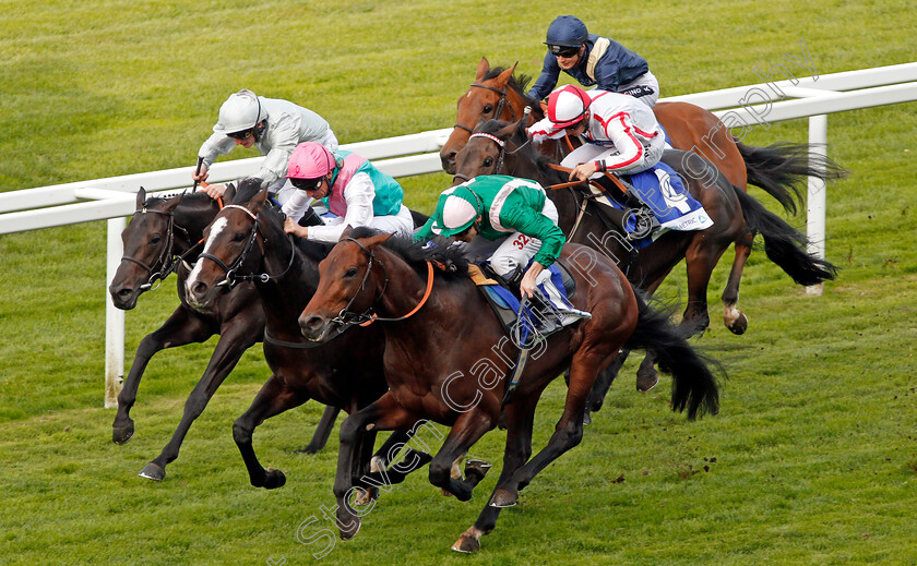 Raheen-House-0005 
 RAHEEN HOUSE (right, Jamie Spencer) beats WEEKENDER (centre) and HOCHFELD (left) in The Londonmetric Noel Murless Stakes Ascot 6 Oct 2017 - Pic Steven Cargill / Racingfotos.com