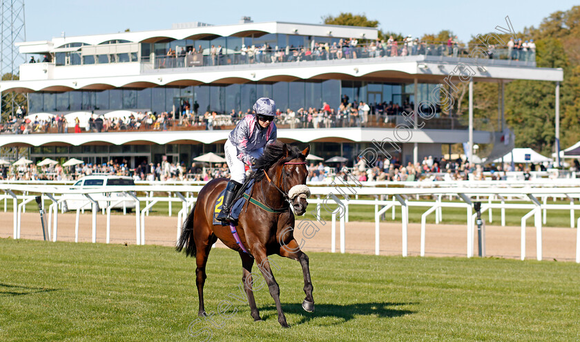 Throne-Hall-0009 
 THRONE HALL (Brodie Hampson) winner of The H.M. Drottningens Pris
Bro Park, Sweden , 15 Sep 2024 - Pic Steven Cargill / Racingfotos.com