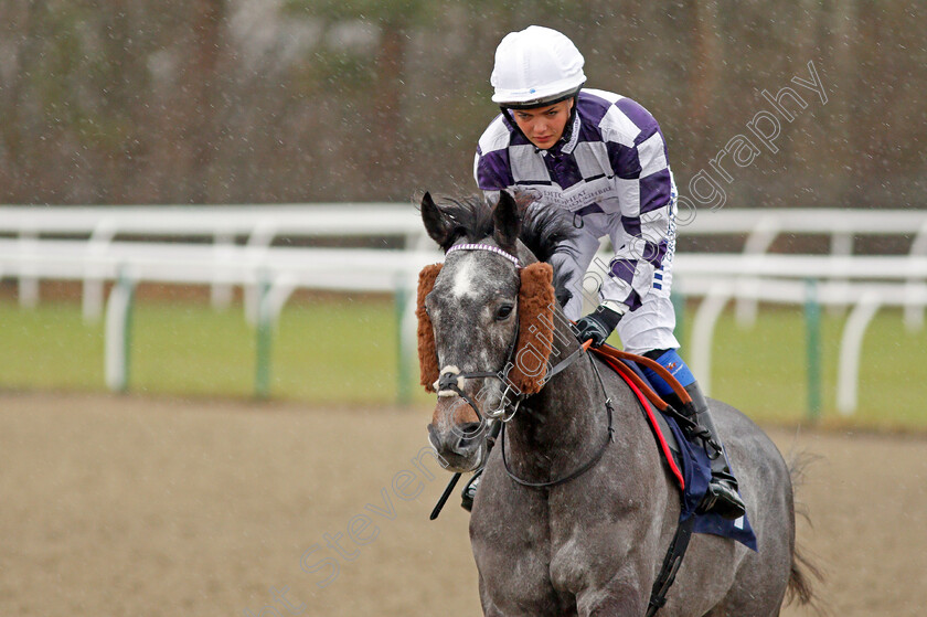 Volpone-Jelois-0002 
 VOLPONE JELOIS (Megan Nicholls) Lingfield 13 Dec 2017 - Pic Steven Cargill / Racingfotos.com