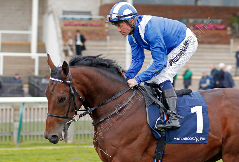 Almighwar-0001 
 ALMIGHWAR (Jim Crowley)
Newmarket 23 Oct 2019 - Pic Steven Cargill / Racingfotos.com