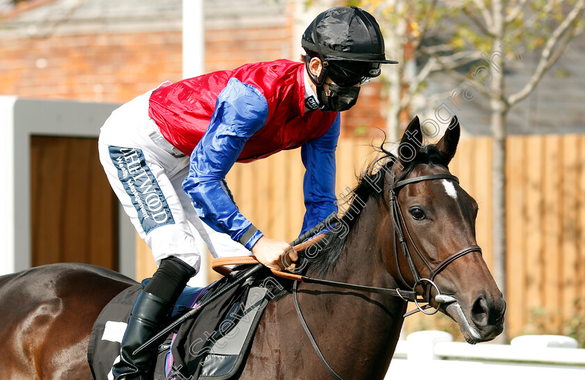 Dark-Motive-0001 
 DARK MOTIVE (Harry Bentley)
Newbury 18 Sep 2020 - Pic Steven Cargill / Racingfotos.com