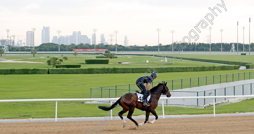 Destructive-0001 
 DESTRUCTIVE training at the Dubai Racing Carnival
Meydan 1 Mar 2024 - Pic Steven Cargill / Racingfotos.com