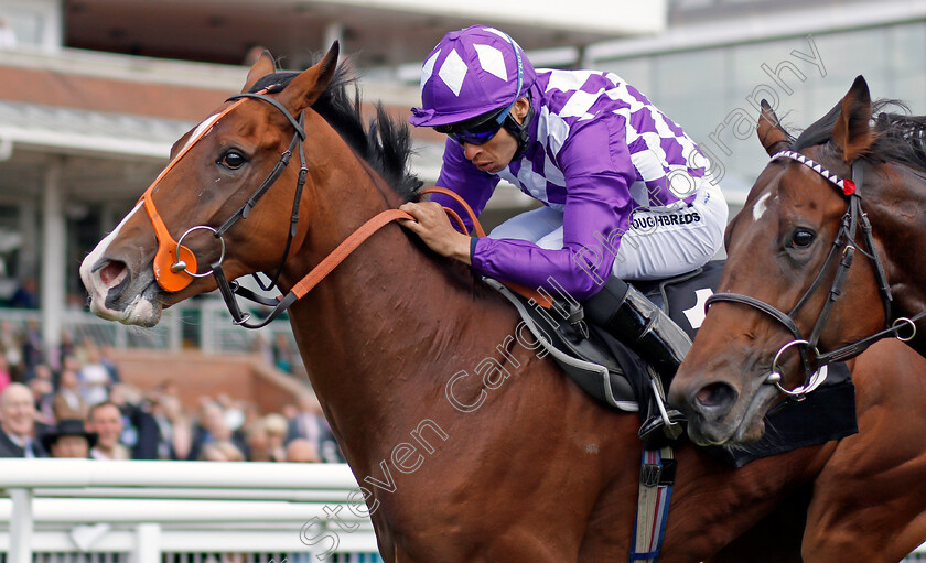 Orange-Suit-0004 
 ORANGE SUIT (Sean Levey) wins The British Stallion Studs EBF Maiden Stakes Div1 Newbury 22 Sep 2017 - Pic Steven Cargill / Racingfotos.com