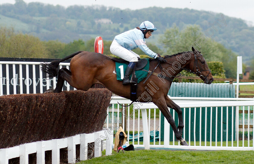 Martha s-Benefit-0001 
 MARTHA'S BENEFIT (Hannah Gregory)
Cheltenham 3 May 2019 - Pic Steven Cargill / Racingfotos.com