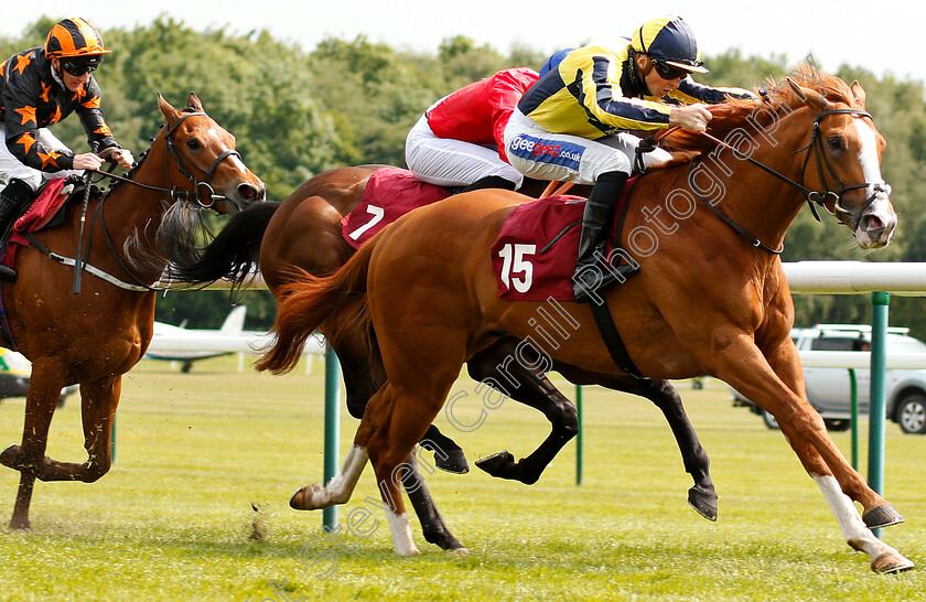 Crack-On-Crack-On-0002 
 CRACK ON CRACK ON (David Probert) wins The Amix Silver Bowl Handicap
Haydock 26 May 2018 - Pic Steven Cargill / Racingfotos.com