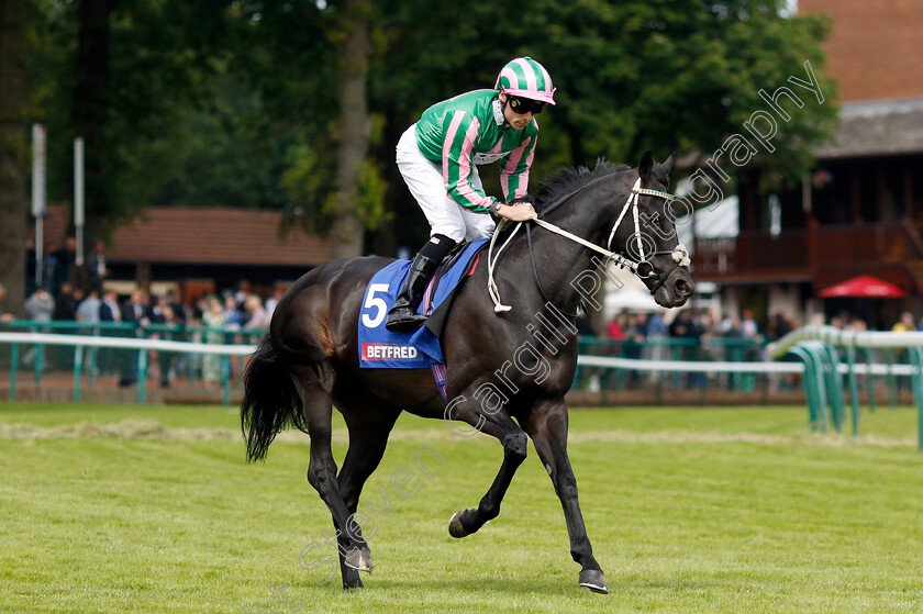 Pogo-0001 
 POGO (Kieran Shoemark)
Haydock 8 Jun 2024 - Pic Steven Cargill / Racingfotos.com