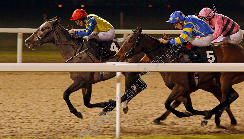 Dellaguista-0002 
 DELLAGUISTA (left, P J McDonald) beats TITAN GODDESS (right) in The Bet totequadpot At betfred.com Fillies Handicap Chelmsford 21 Dec 2017 - Pic Steven Cargill / Racingfotos.com