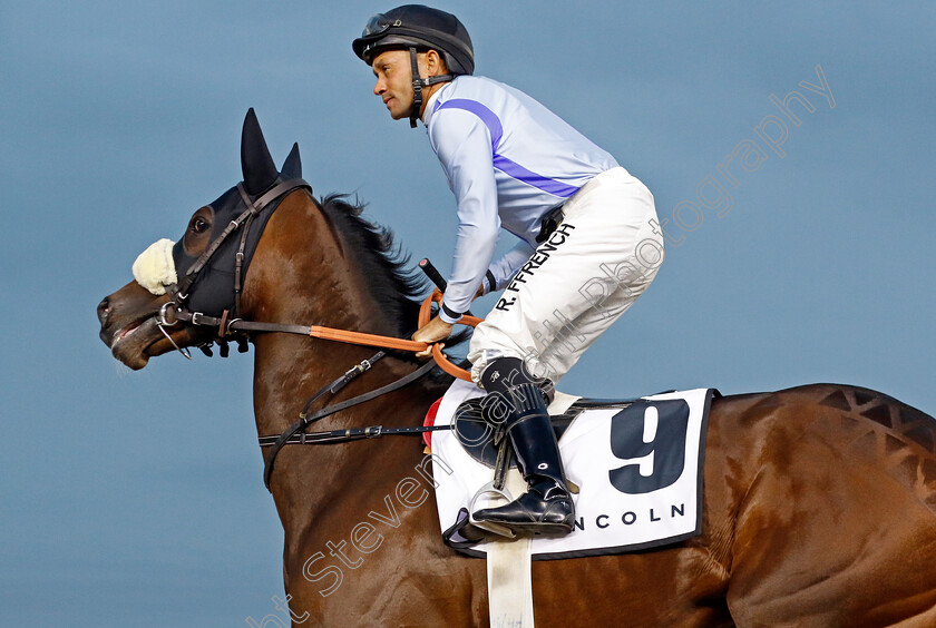 Princident-0001 
 PRINCIDENT (Royston Ffrench)
Meydan 2 Feb 2024 - Pic Steven Cargill / Racingfotos.com