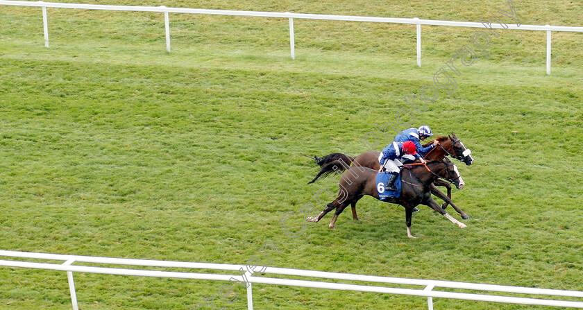 Saleemah-0003 
 SALEEMAH (nearside, Sam Hitchcott) beats HALIB DES FORGES (farside) in The Rotana Hotels And Resorts Premier Handicap
Newbury 29 Jul 2018 - Pic Steven Cargill / Racingfotos.com