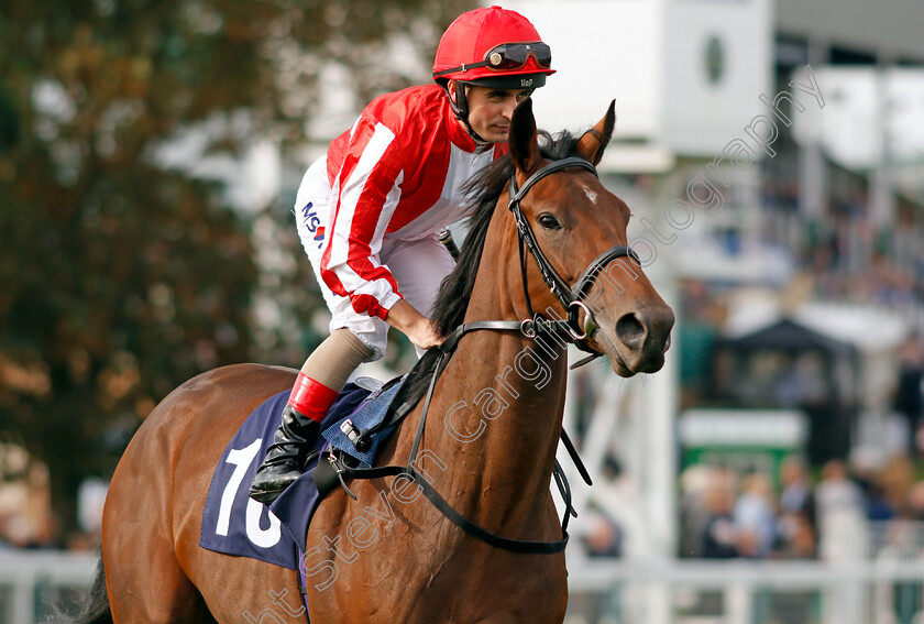 Ouja-0001 
 OUJA (Andrea Atzeni) Yarmouth 20 Sep 2017 - Pic Steven Cargill / Racingfotos.com