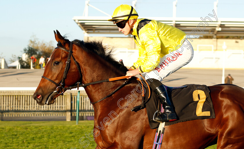 Almaqam-0002 
 ALMAQAM (Tom Marquand)
Newmarket 25 Oct 2023 - Pic Steven Cargill / Racingfotos.com