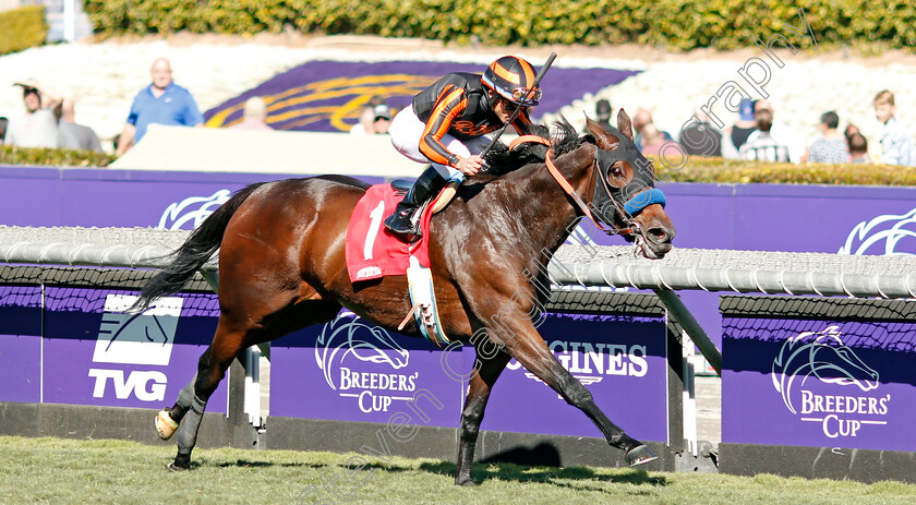 Rayana-0003 
 RAYANA (Joel Rosario) wins Allowance
Santa Anita USA 1 Nov 2019 - Pic Steven Cargill / Racingfotos.com